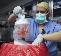 Surgeon removes pig kidney from cold storage ahead of transplant