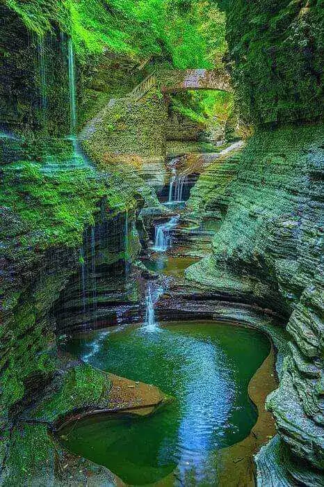 watkins-glen-state-park-environment