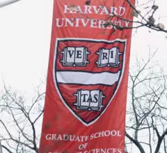 harvard university picks physician as interim president