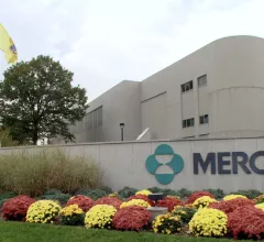 Merck Januvia Janumet Steglujan Nitroso-STG-19 (NTTP) type 2 diabetes